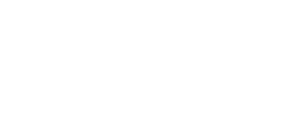 Part Crew. Part Chaos. Fully Dude.